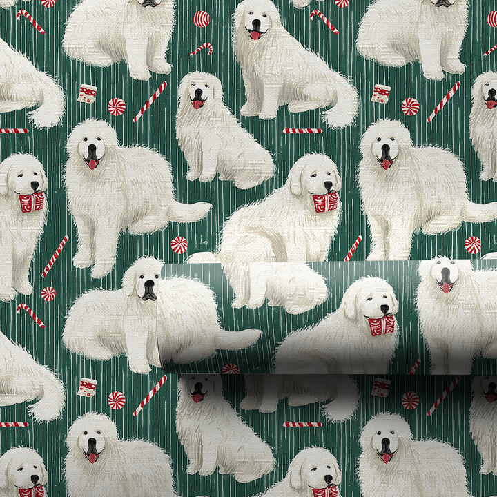 Great Candy Pyrenees
