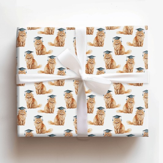 Tabby Smart - Wrapping Paper - Aspen & Arlo