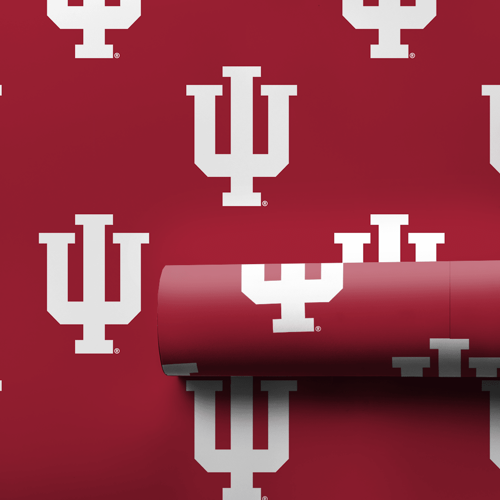 Indiana Bold - Wrapping Paper - Aspen & Arlo