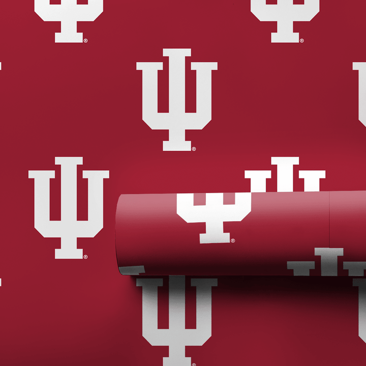 Indiana Bold - Wrapping Paper - Aspen & Arlo
