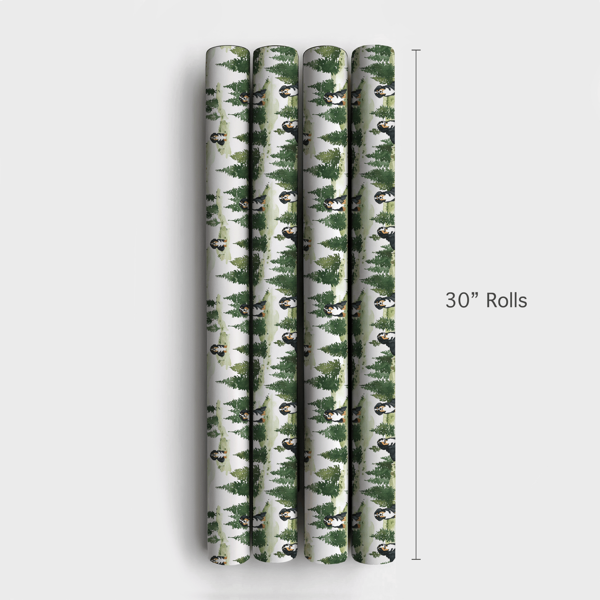 Park Day with the Bernese Mountain Dog - Wrapping Paper - Aspen & Arlo