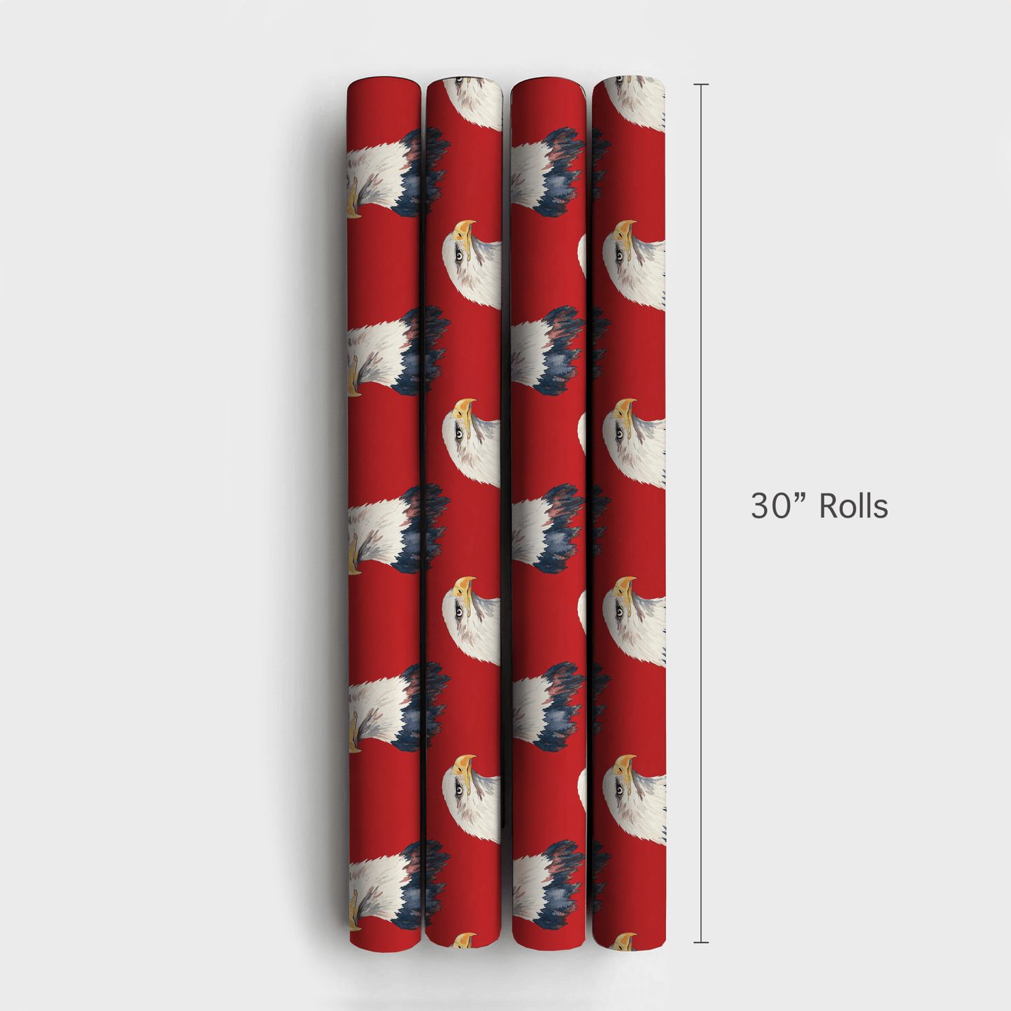 Pride the Flight - Wrapping Paper - Aspen & Arlo
