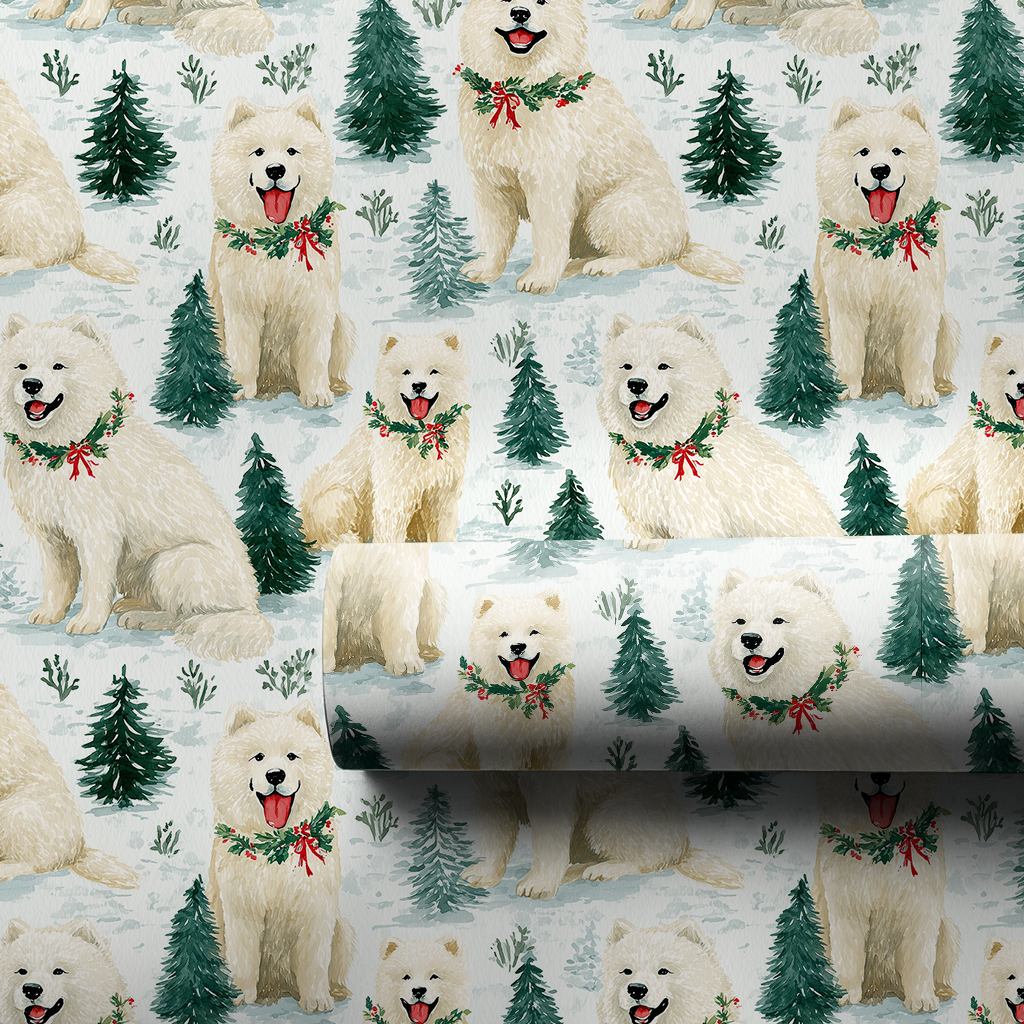 Snow Day for Samoyeds