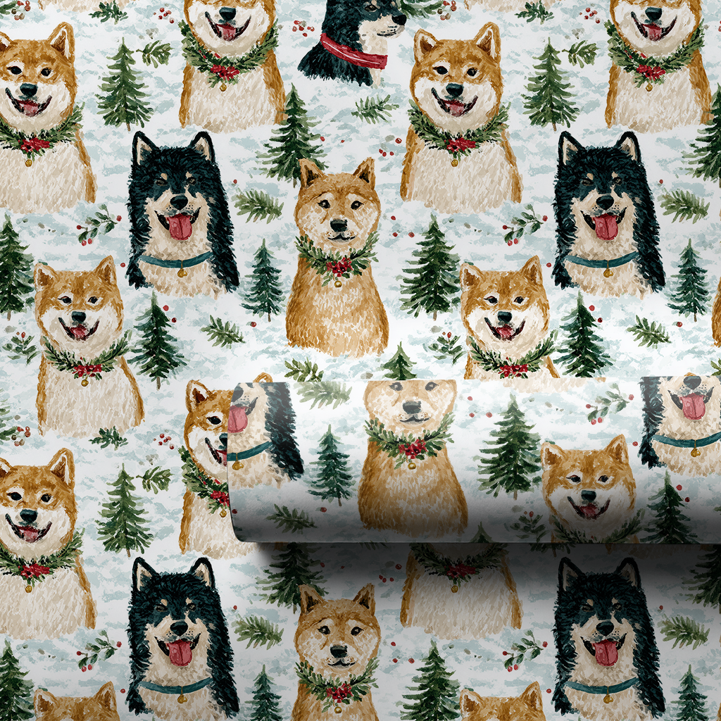 Snow Day for Shiba Inu