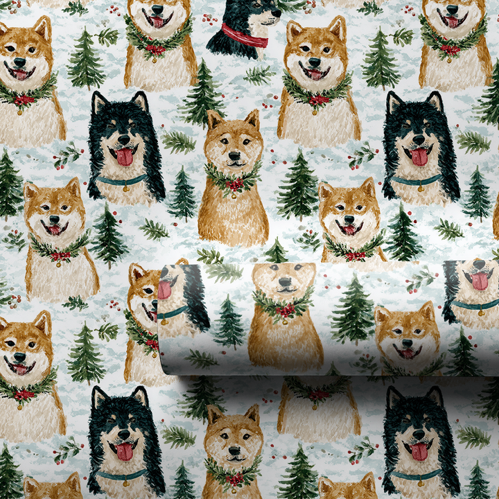 Snow Day for Shiba Inu