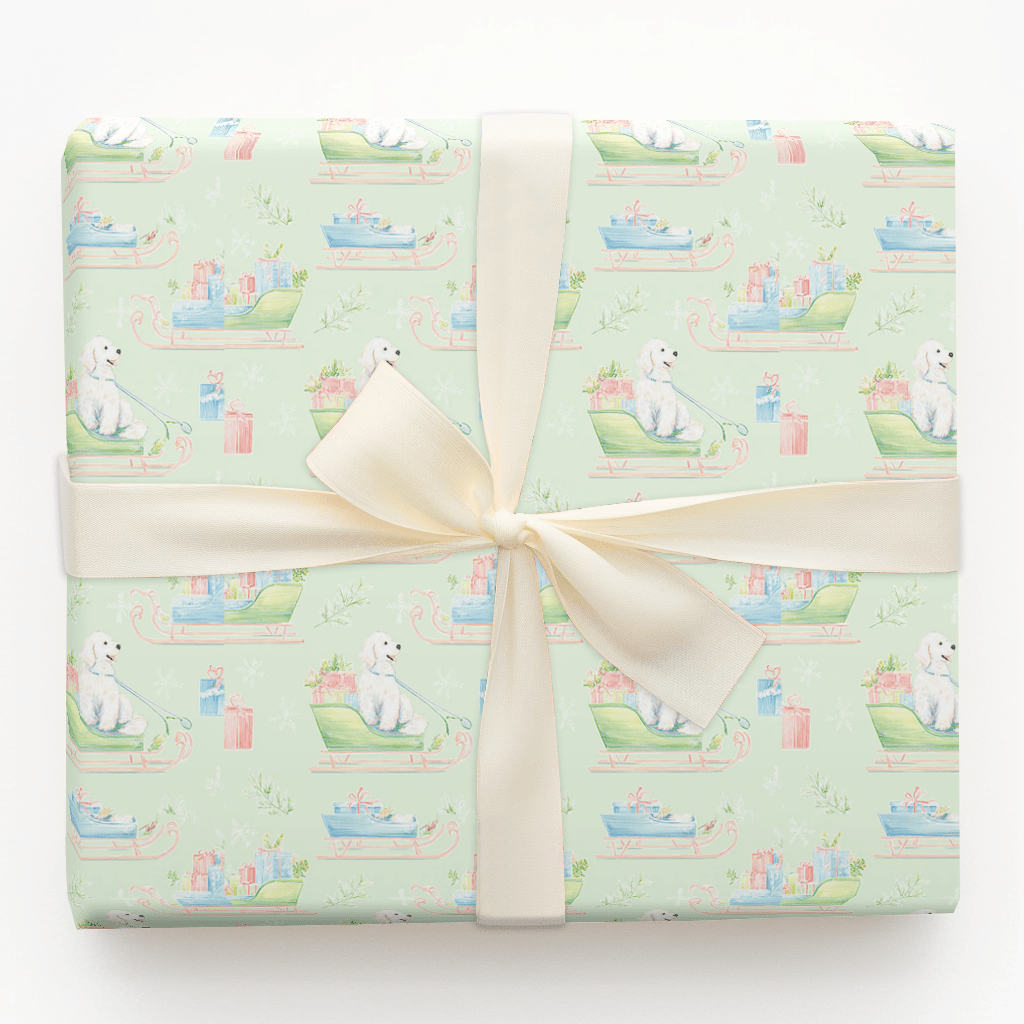Doodle Sleigh - Wrapping Paper - Aspen & Arlo