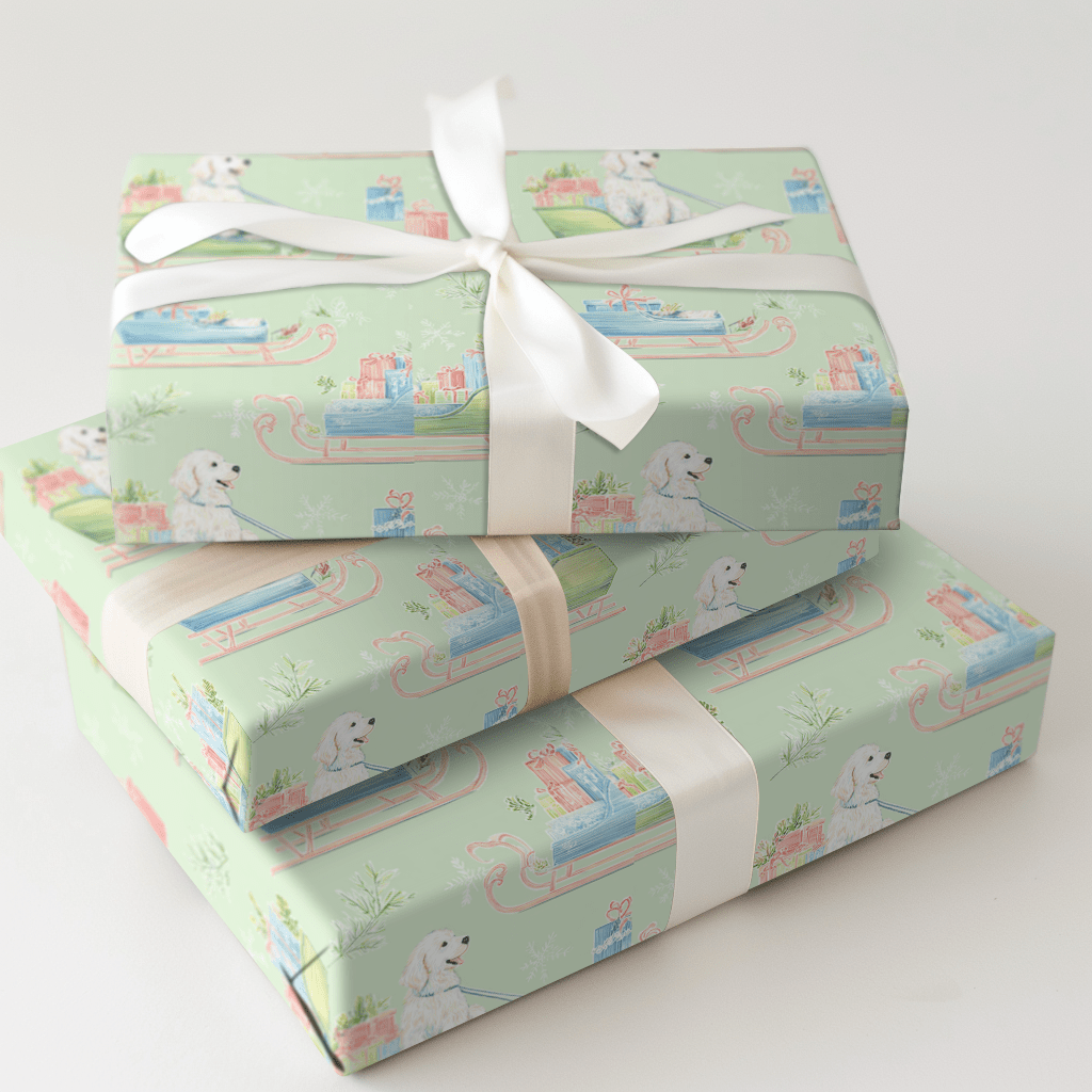Doodle Sleigh - Wrapping Paper - Aspen & Arlo
