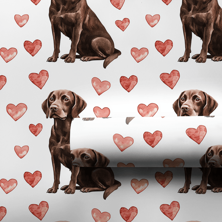 Chocolate Lab Valentine - Wrapping Paper - Aspen & Arlo