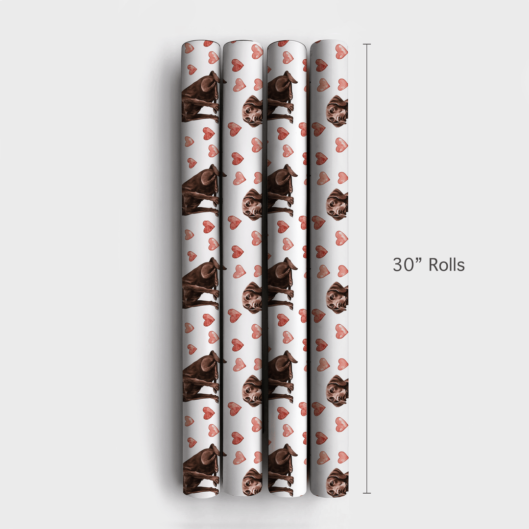 Chocolate Lab Valentine - Wrapping Paper - Aspen & Arlo