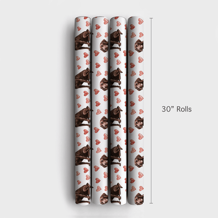 Chocolate Lab Valentine - Wrapping Paper - Aspen & Arlo
