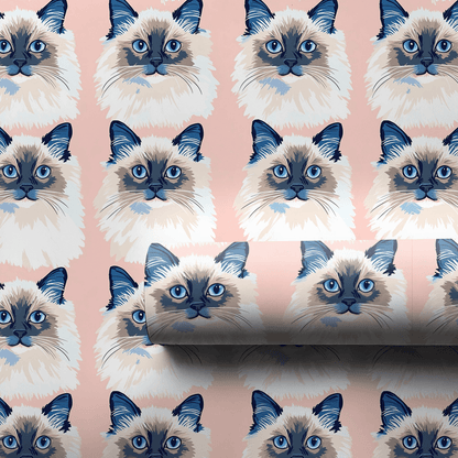 With a Ragdoll - Wrapping Paper - Aspen & Arlo