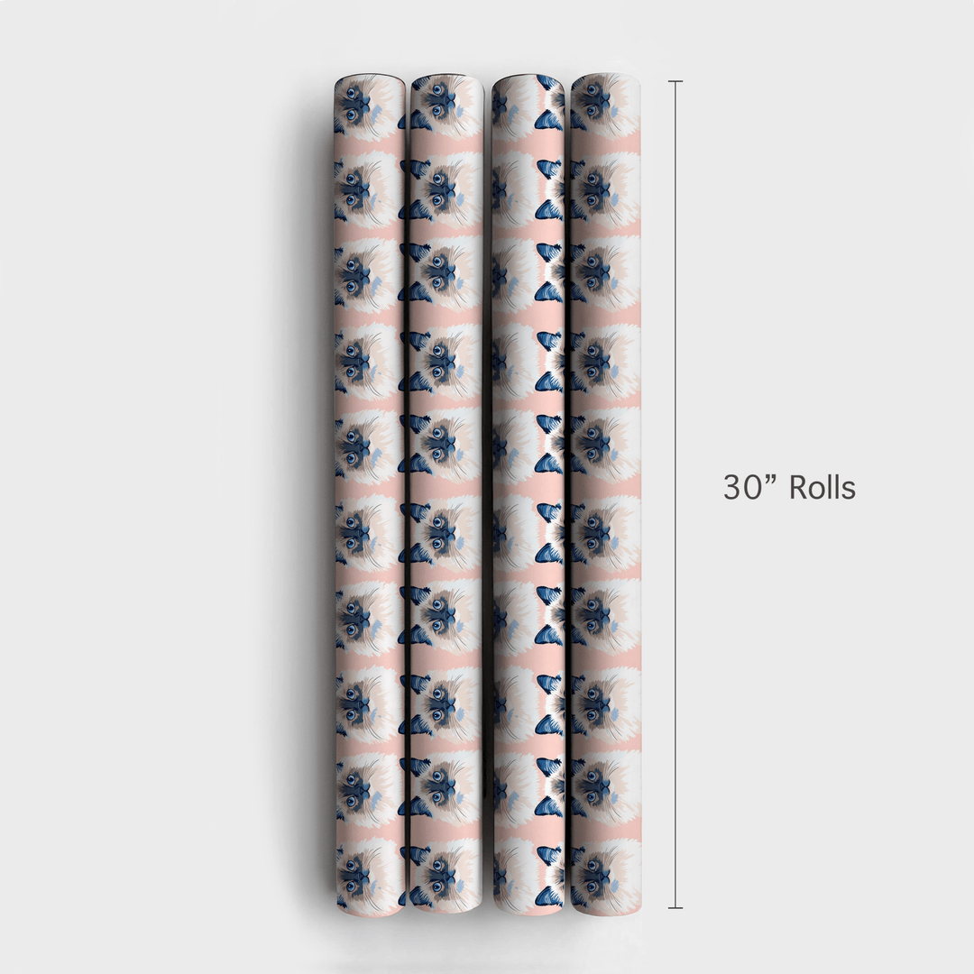 With a Ragdoll - Wrapping Paper - Aspen & Arlo
