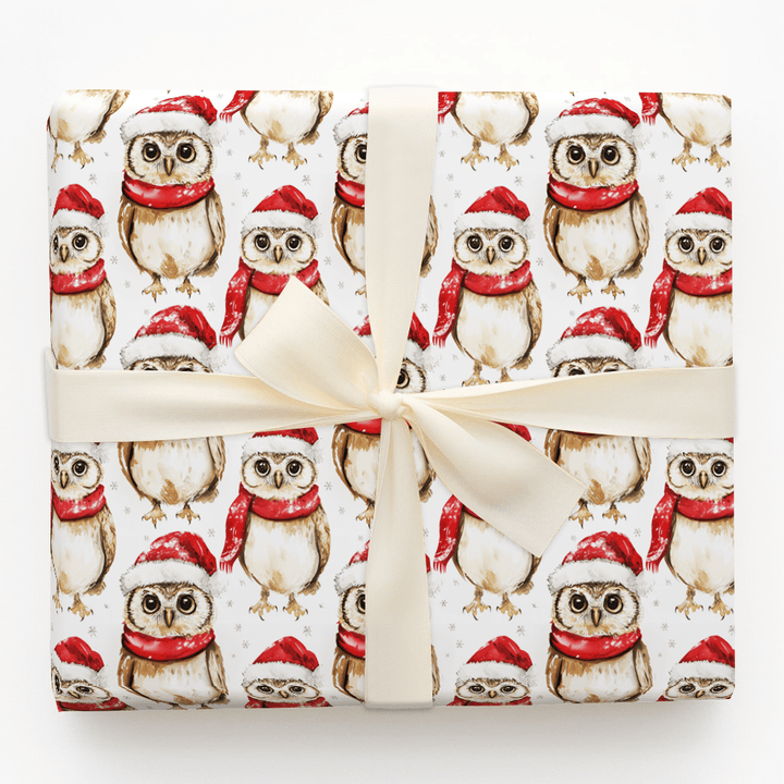 Winter Winks - Wrapping Paper - Aspen & Arlo