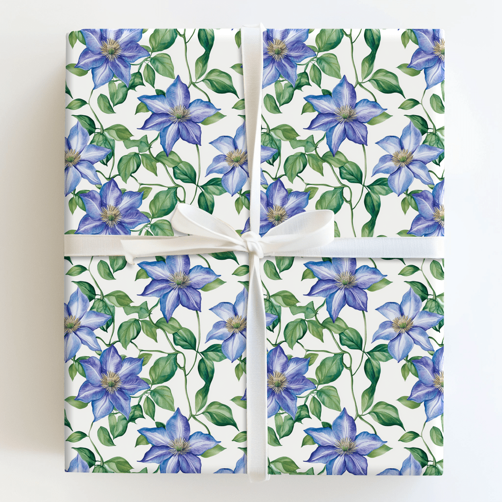 Bloom Where You Climb - Wrapping Paper - Aspen & Arlo