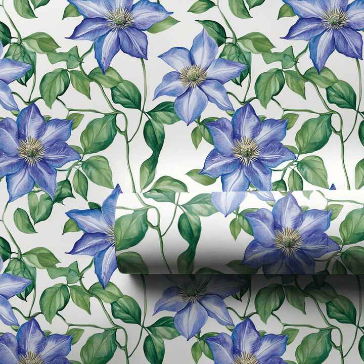 Bloom Where You Climb - Wrapping Paper - Aspen & Arlo
