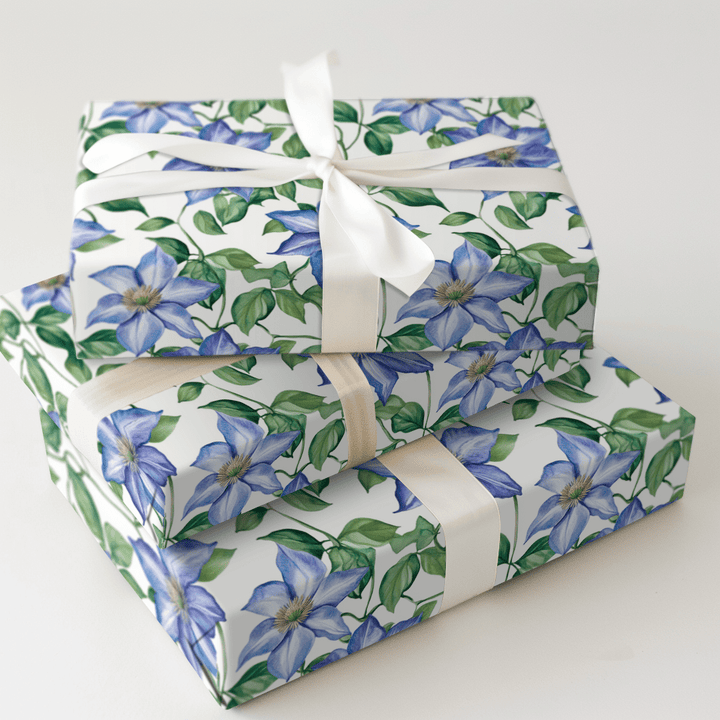 Bloom Where You Climb - Wrapping Paper - Aspen & Arlo