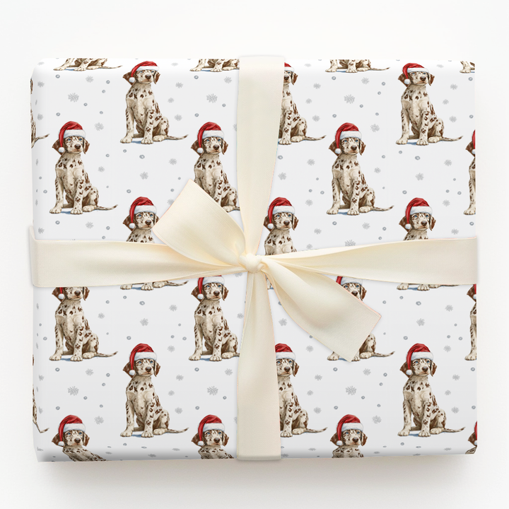 Catahoula Christmas Snowflakes