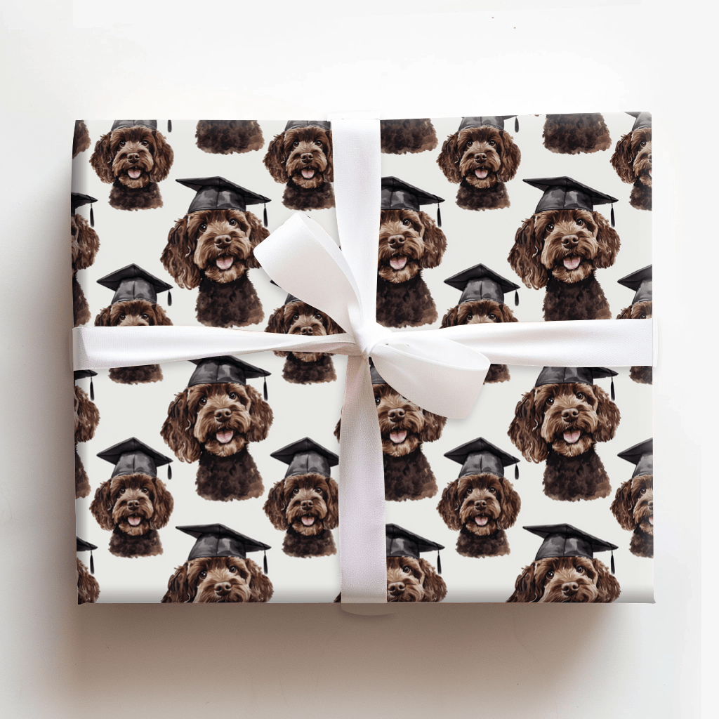 Cocoa Cum Laude - Wrapping Paper - Aspen & Arlo