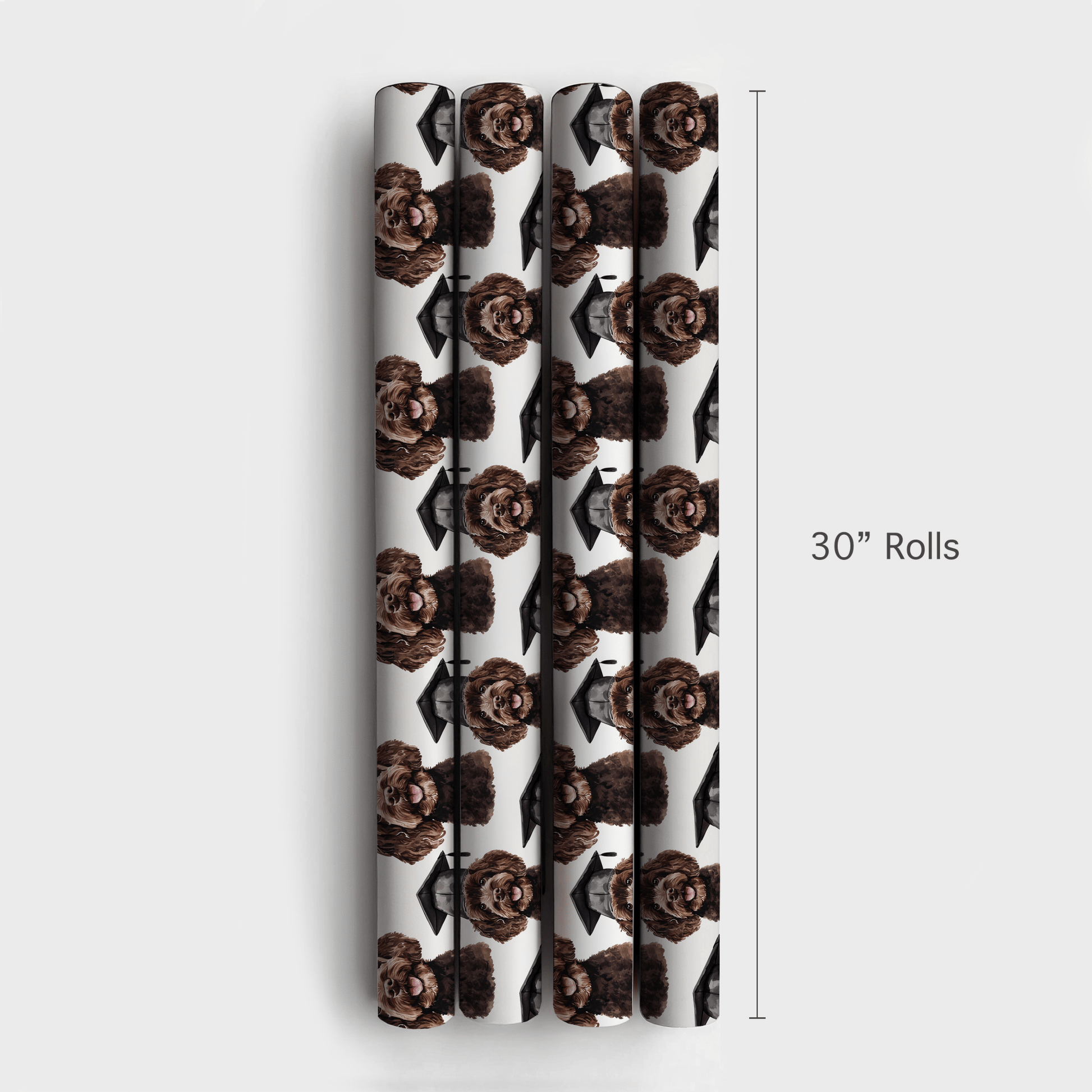 Cocoa Cum Laude - Wrapping Paper - Aspen & Arlo