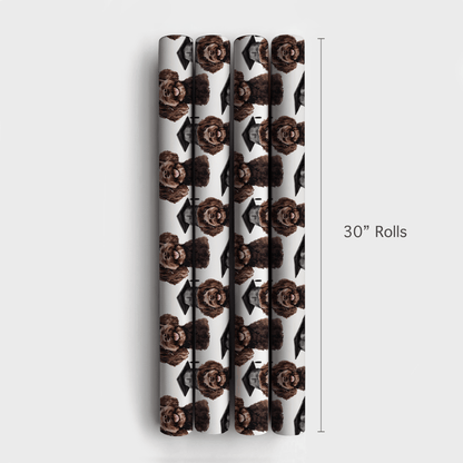 Cocoa Cum Laude - Wrapping Paper - Aspen & Arlo