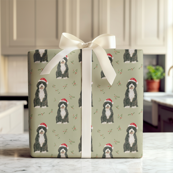 Christmas with the Portuguese Water Dog