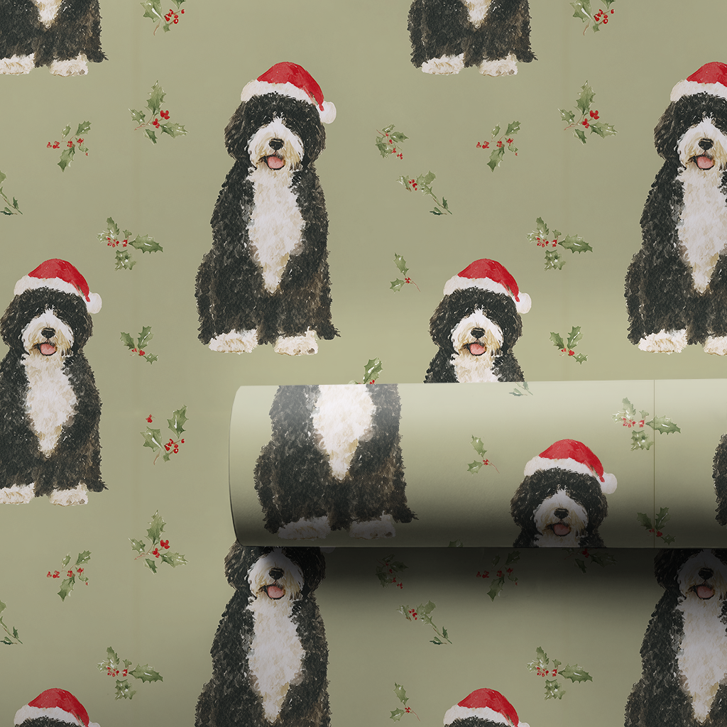 Christmas with the Portuguese Water Dog
