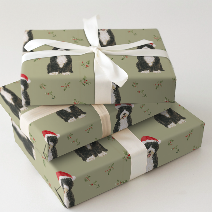 Christmas with the Portuguese Water Dog