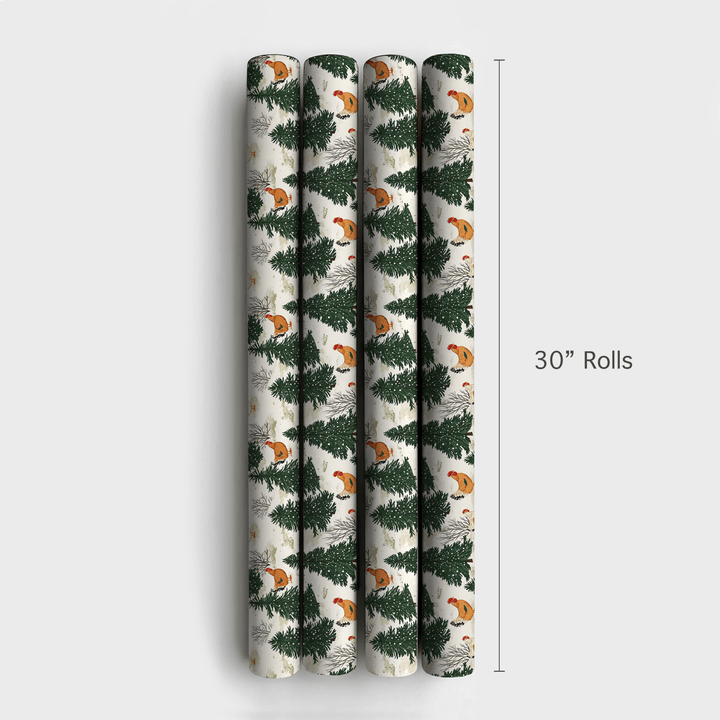 Chicken Winter - Wrapping Paper - Aspen & Arlo