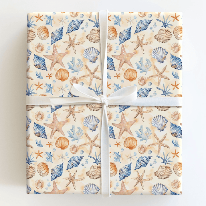 It's a Shell - ebration - Wrapping Paper - Aspen & Arlo