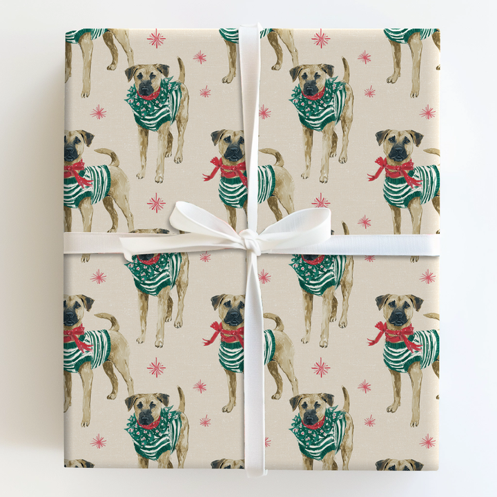 Black Mouth Cur Christmas Sweater