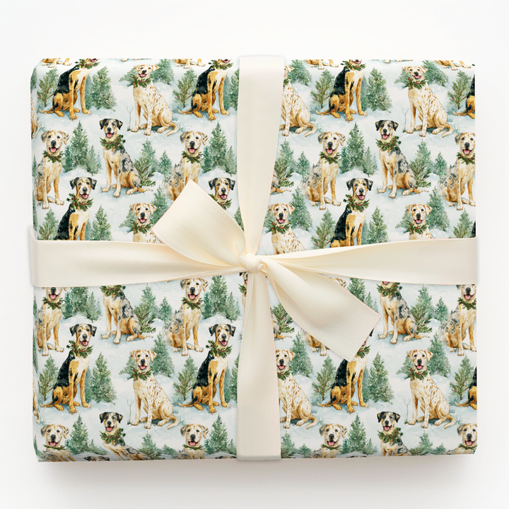 Woodland Catahoulas