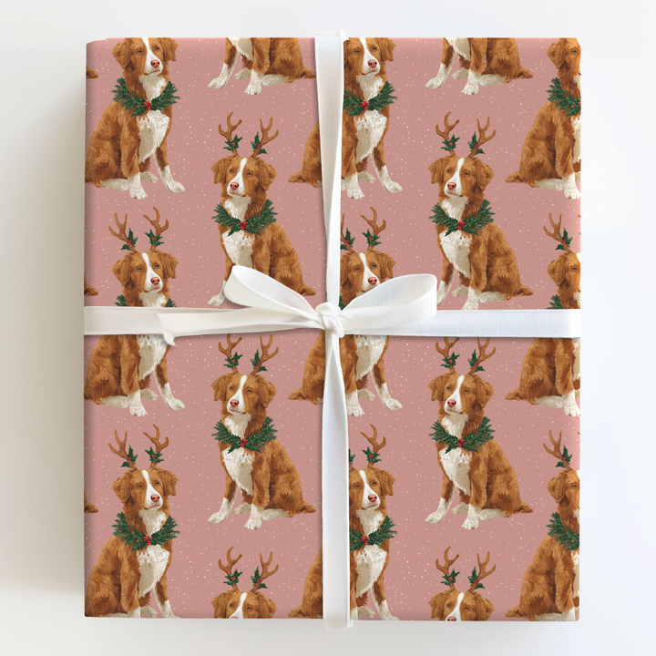 Tollers’ Reindeer Games