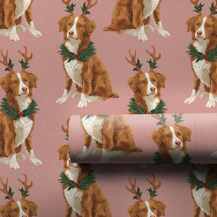 Tollers’ Reindeer Games