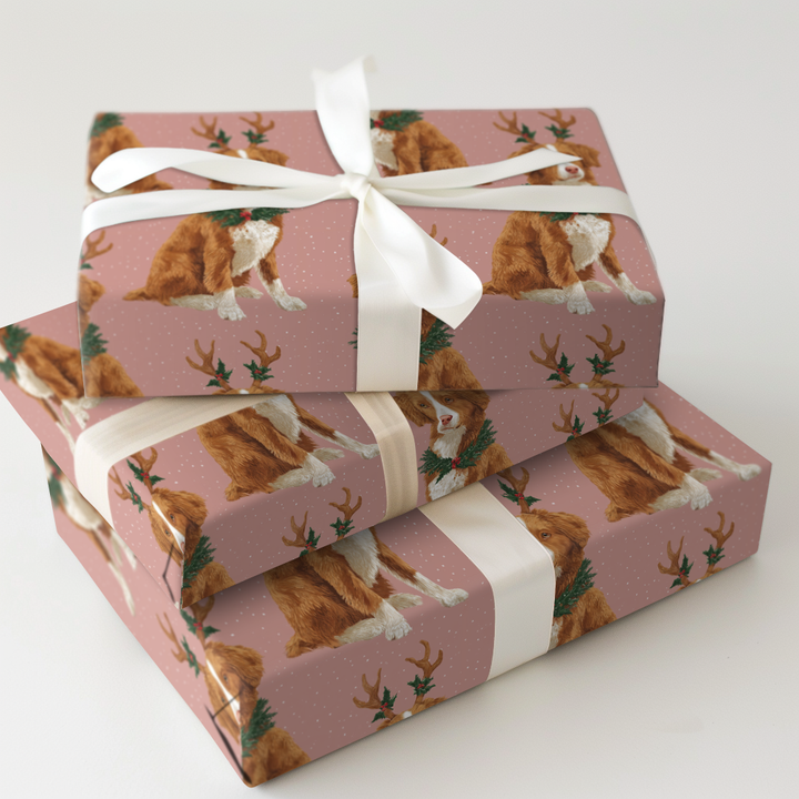 Tollers’ Reindeer Games