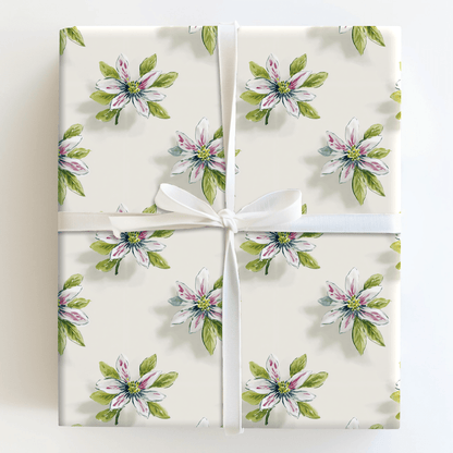 Oak Grove - Wrapping Paper - Aspen & Arlo