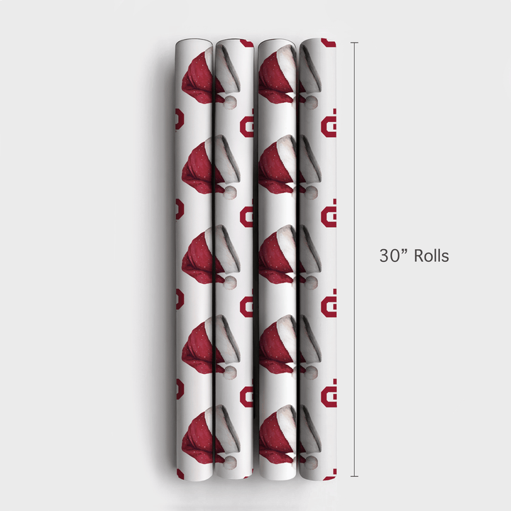 Santa Boomer - Wrapping Paper - Aspen & Arlo