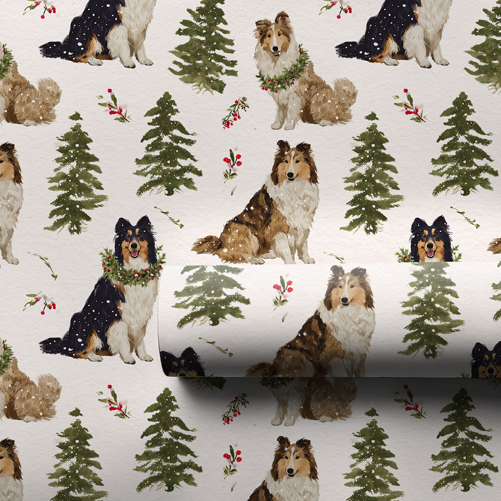 Collies in the Pines