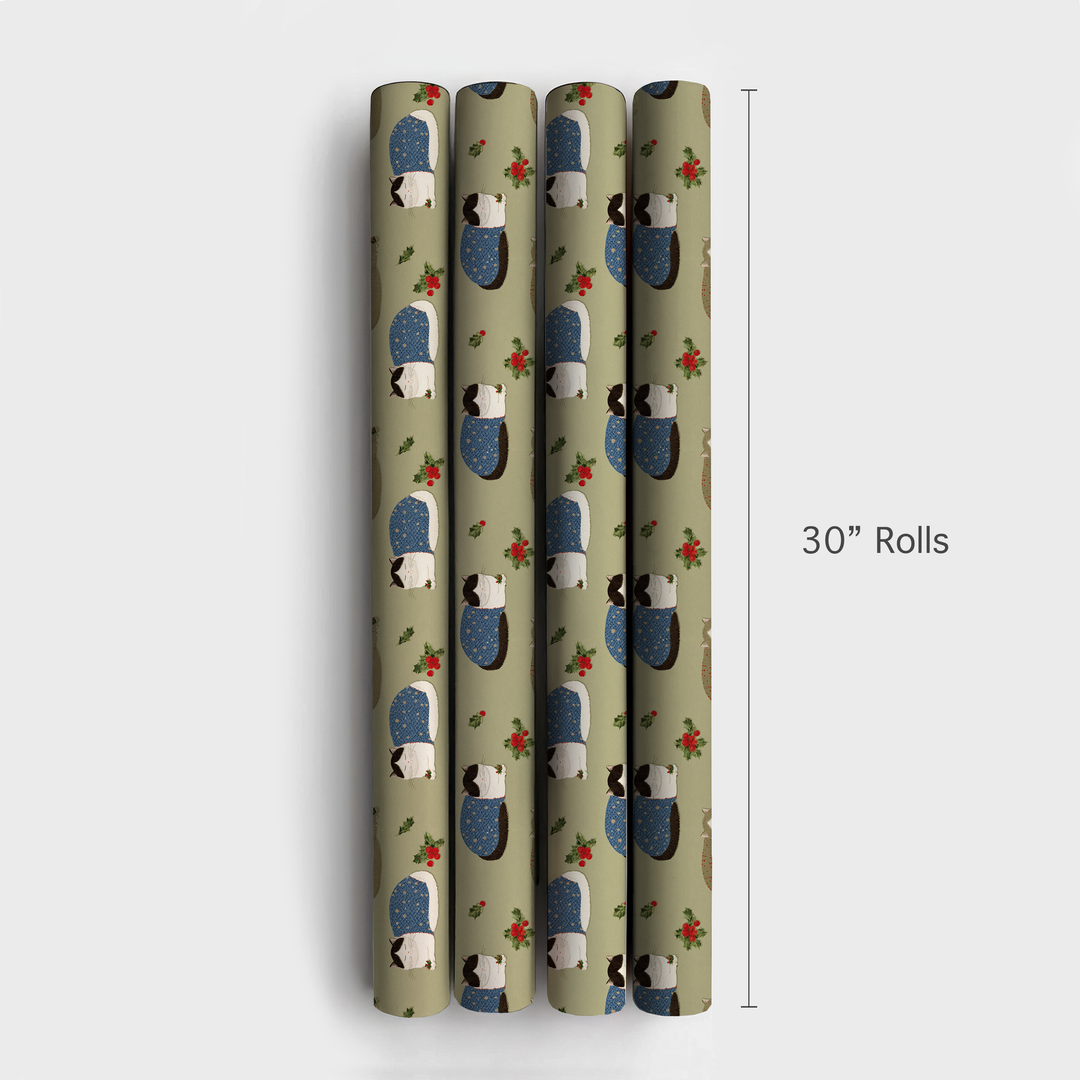 Cozy Climbers