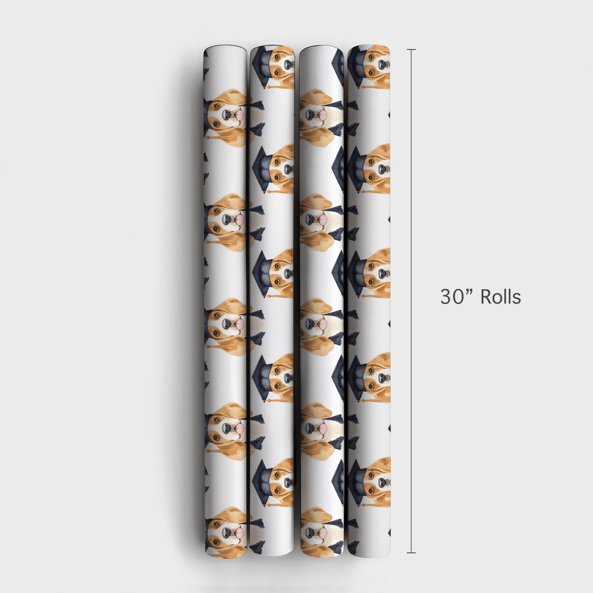 Beagle Graduate - Wrapping Paper - Aspen & Arlo