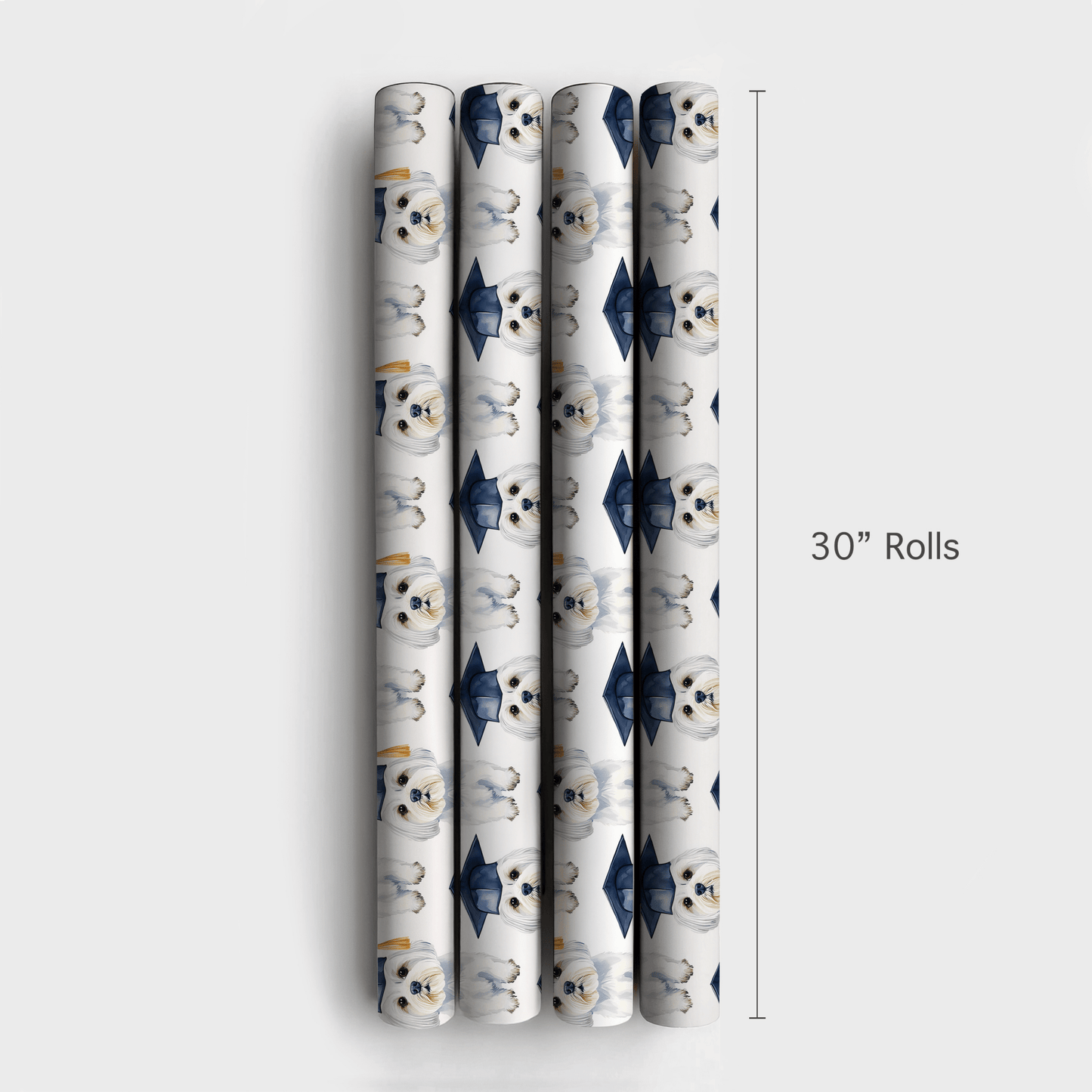 Maltese Graduate - Wrapping Paper - Aspen & Arlo