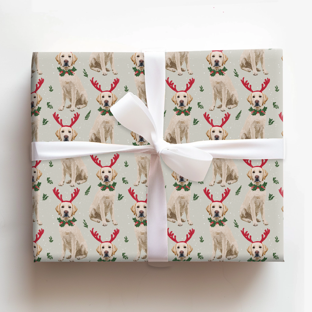 Rayne’s Reindeer