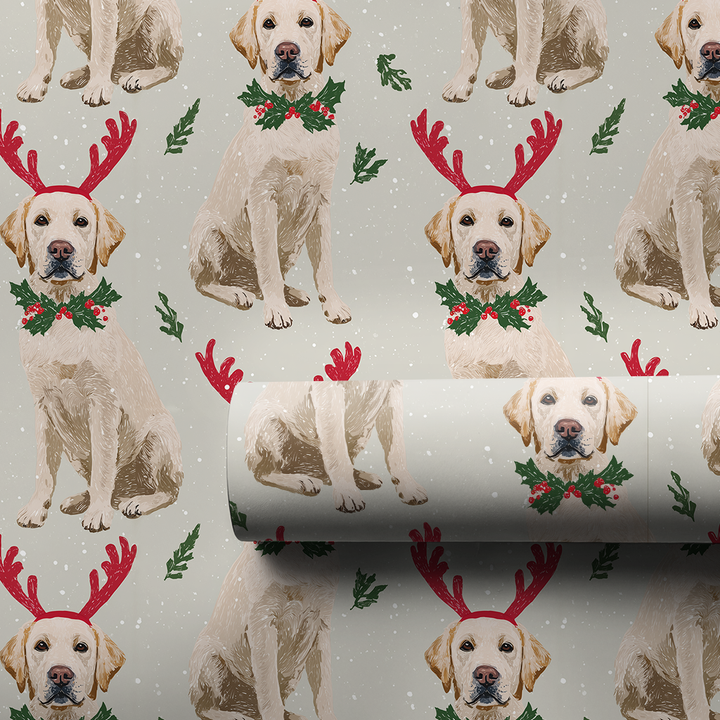 Rayne’s Reindeer