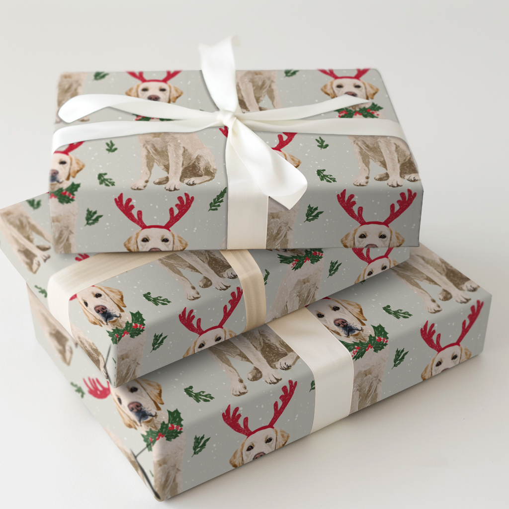 Rayne’s Reindeer
