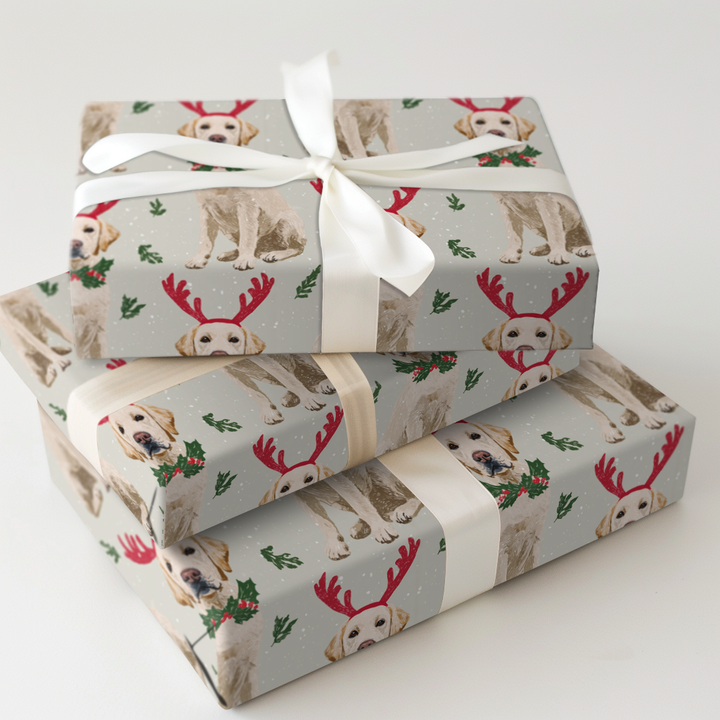 Rayne’s Reindeer