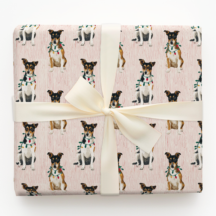 Merry & Bright Rat Terriers