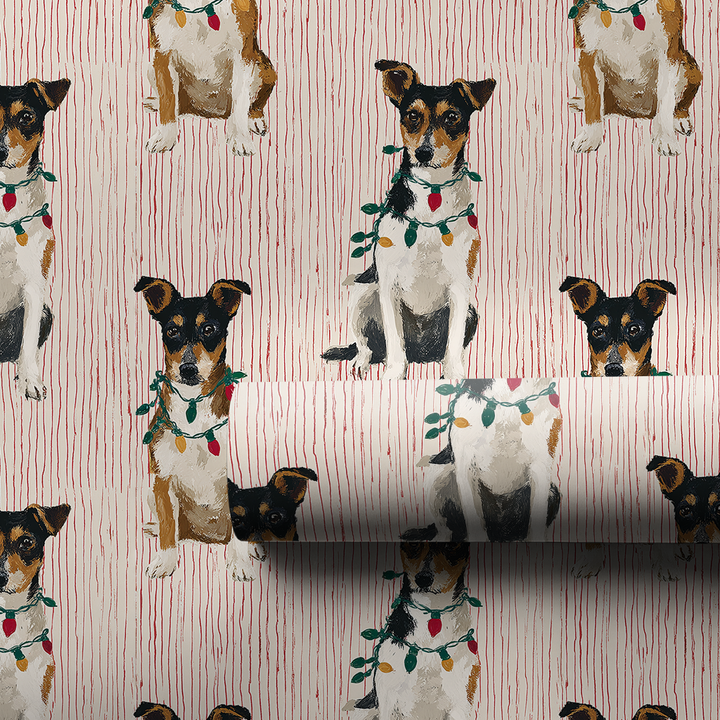 Merry & Bright Rat Terriers