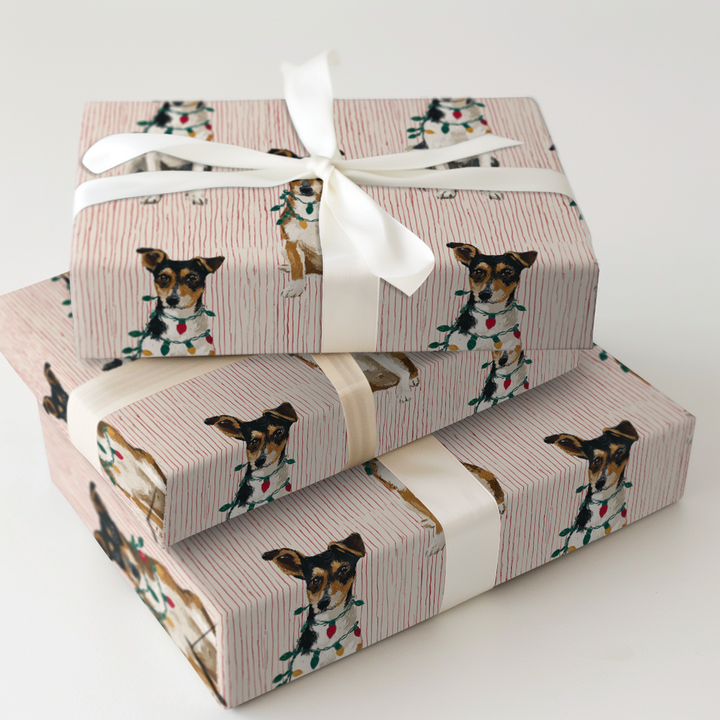Merry & Bright Rat Terriers