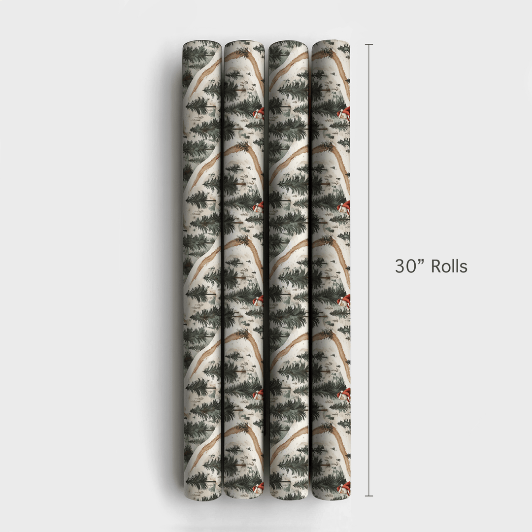 Coler Park in the Winter - Wrapping Paper - Aspen & Arlo