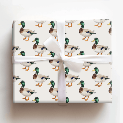 Flock Star - Wrapping Paper - Aspen & Arlo