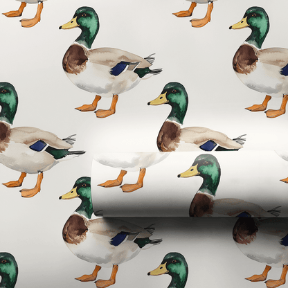 Flock Star - Wrapping Paper - Aspen & Arlo